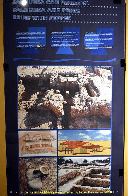35 SANTA POLA - MUSEE DE LA MER ET DE LA PECHE (184).JPG